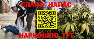 a pvp Малгобек